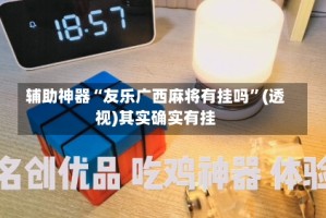 辅助神器“友乐广西麻将有挂吗”(透视)其实确实有挂
