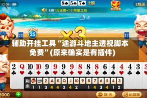 辅助开挂工具“途游斗地主透视脚本免费”(原来确实是有插件)
