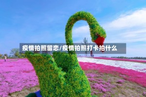 疫情拍照留恋/疫情拍照打卡拍什么
