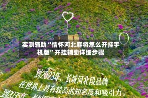 实测辅助“情怀河北麻将怎么开挂手机版”开挂辅助详细步骤