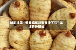 辅助神器“天天麻将川南开挂下载”详细开挂玩法