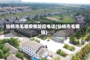 仙桃市毛嘴疫情防控电话(仙桃市毛嘴镇)