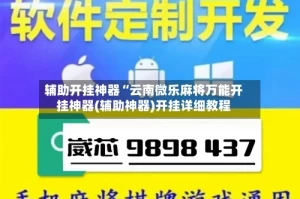 辅助开挂神器“云南微乐麻将万能开挂神器(辅助神器)开挂详细教程