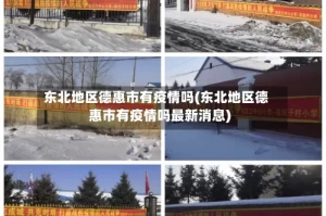 东北地区德惠市有疫情吗(东北地区德惠市有疫情吗最新消息)