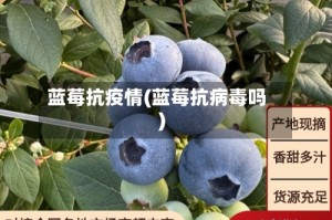蓝莓抗疫情(蓝莓抗病毒吗)