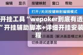 辅助开挂工具“wepoker到底有透视挂吗”开挂辅助脚本+详细开挂安装教程