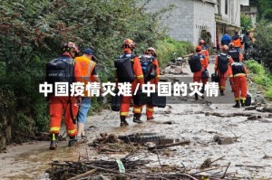 中国疫情灾难/中国的灾情