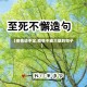 【疫情说不定,疫情不能大意的句子】