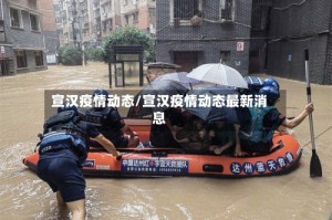 宣汉疫情动态/宣汉疫情动态最新消息