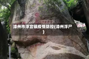 漳州市浮宫镇疫情防控(漳州浮尸)