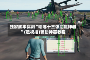 独家脚本实测“嘟嘟十三张助赢神器”(透视挂)辅助神器教程