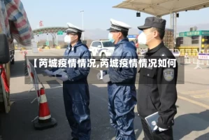 【芮城疫情情况,芮城疫情情况如何】