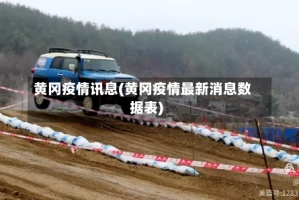 黄冈疫情讯息(黄冈疫情最新消息数据表)