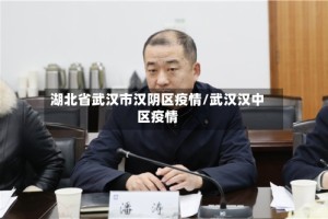 湖北省武汉市汉阴区疫情/武汉汉中区疫情