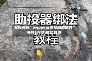 实操教程“wepoker透视辅助插件”开挂(透视)辅助教程