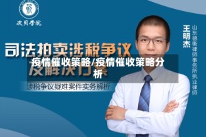 疫情催收策略/疫情催收策略分析