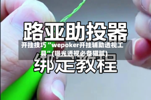 开挂技巧“wepoker开挂辅助透视工具”(曝光透视必备猫腻)
