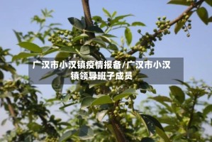 广汉市小汉镇疫情报备/广汉市小汉镇领导班子成员