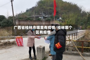 广西省桂林市哪里有疫情/桂林哪个区有疫情