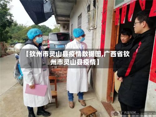【钦州市灵山县疫情数据图,广西省钦州市灵山县疫情】-第1张图片