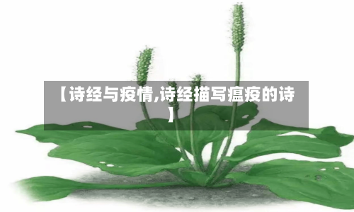 【诗经与疫情,诗经描写瘟疫的诗】-第2张图片