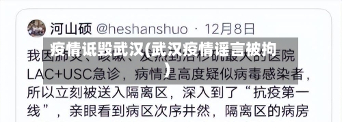疫情诋毁武汉(武汉疫情谣言被拘)-第1张图片