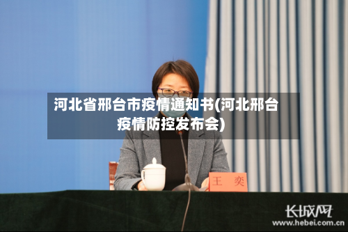 河北省邢台市疫情通知书(河北邢台疫情防控发布会)-第2张图片