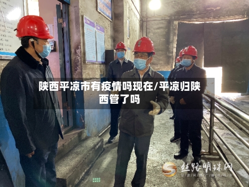 陕西平凉市有疫情吗现在/平凉归陕西管了吗-第3张图片