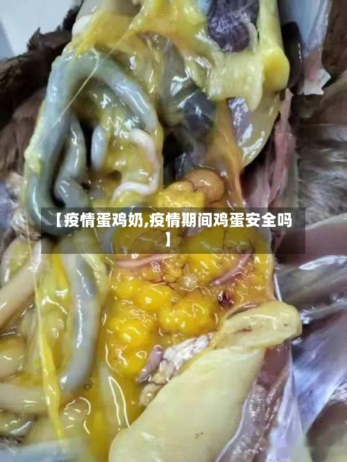 【疫情蛋鸡奶,疫情期间鸡蛋安全吗】-第3张图片