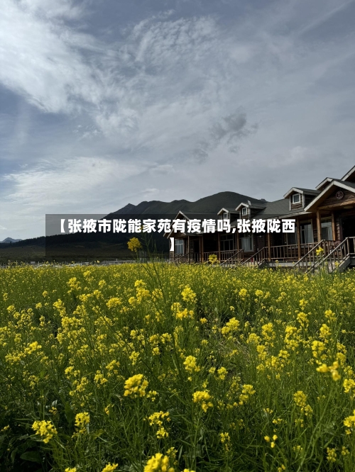 【张掖市陇能家苑有疫情吗,张掖陇西】-第1张图片