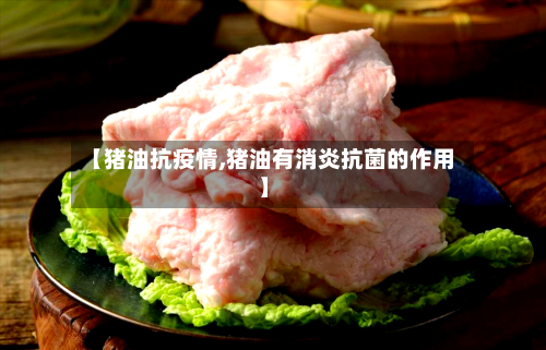 【猪油抗疫情,猪油有消炎抗菌的作用】-第1张图片