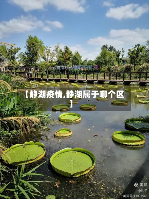 【静湖疫情,静湖属于哪个区】-第3张图片