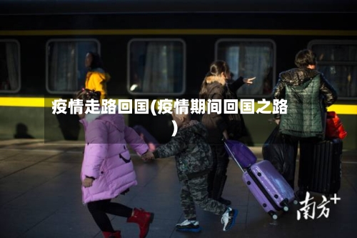 疫情走路回国(疫情期间回国之路)-第1张图片