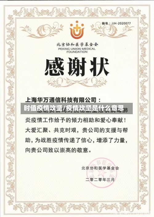 时值疫情攻坚/疫情攻坚是什么意思-第3张图片