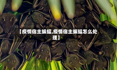 【疫情宿主蝙蝠,疫情宿主蝙蝠怎么处理】-第2张图片