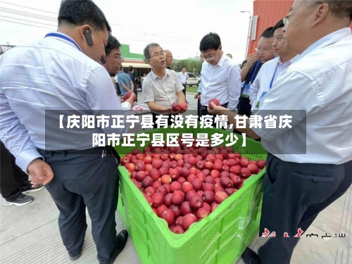 【庆阳市正宁县有没有疫情,甘肃省庆阳市正宁县区号是多少】-第2张图片