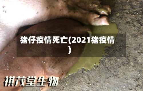 猪仔疫情死亡(2021猪疫情)-第2张图片