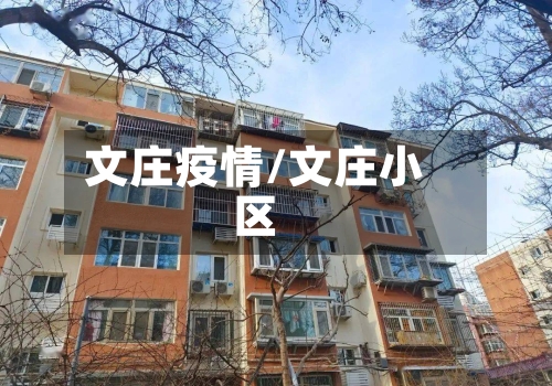 文庄疫情/文庄小区-第1张图片