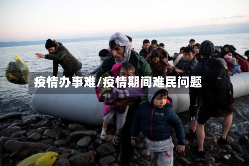 疫情办事难/疫情期间难民问题-第2张图片