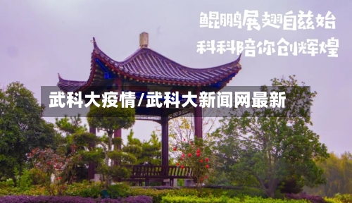 武科大疫情/武科大新闻网最新-第3张图片