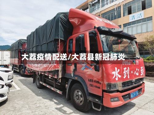 大荔疫情配送/大荔县新冠肺炎-第1张图片