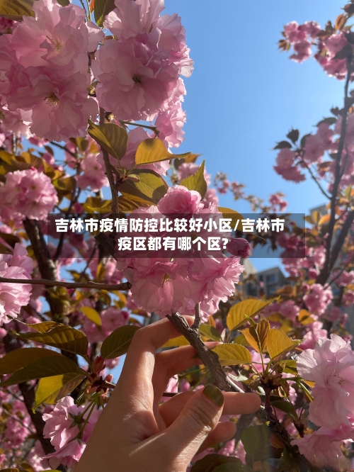 吉林市疫情防控比较好小区/吉林市疫区都有哪个区?-第3张图片