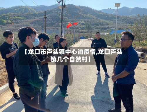【龙口市芦头镇中心泊疫情,龙口芦头镇几个自然村】-第2张图片
