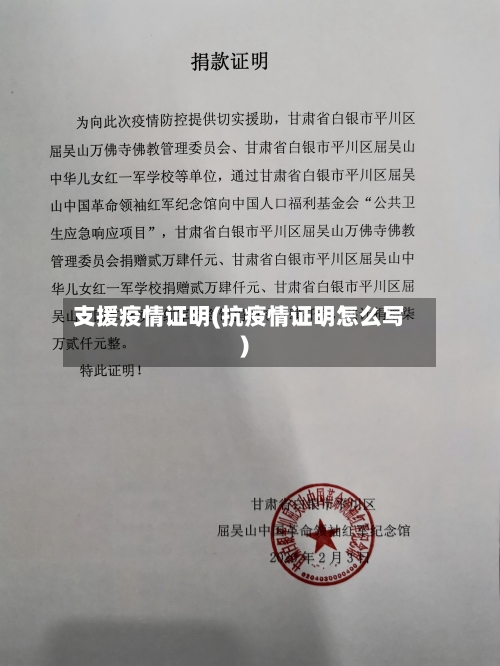 支援疫情证明(抗疫情证明怎么写)-第2张图片