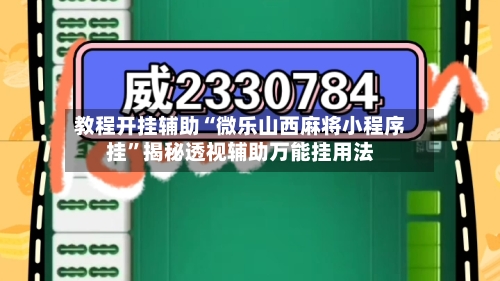 教程开挂辅助“微乐山西麻将小程序挂”揭秘透视辅助万能挂用法-第2张图片