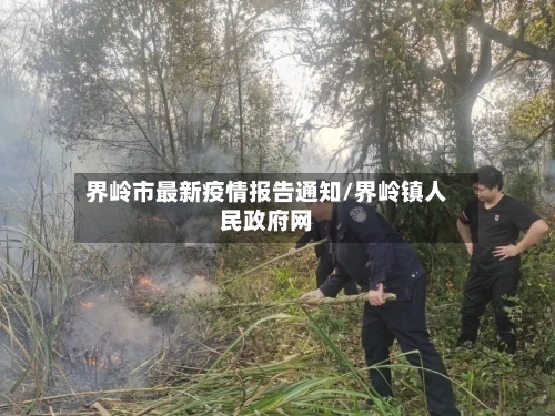 界岭市最新疫情报告通知/界岭镇人民政府网-第3张图片