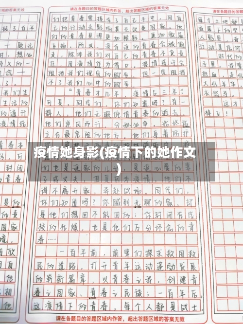 疫情她身影(疫情下的她作文)-第2张图片