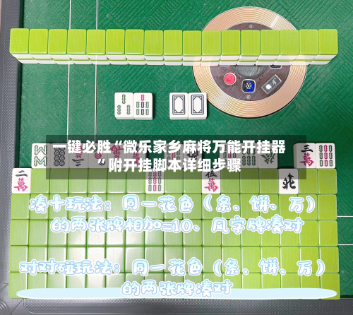 一键必胜“微乐家乡麻将万能开挂器	”附开挂脚本详细步骤-第2张图片