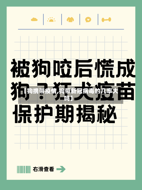 【狗携带疫情,狗带新冠病毒的几率大吗】-第1张图片