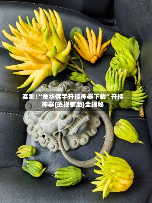 实测!“金华佛手开挂神器下载	”开挂神器{透视辅助}全揭秘-第1张图片